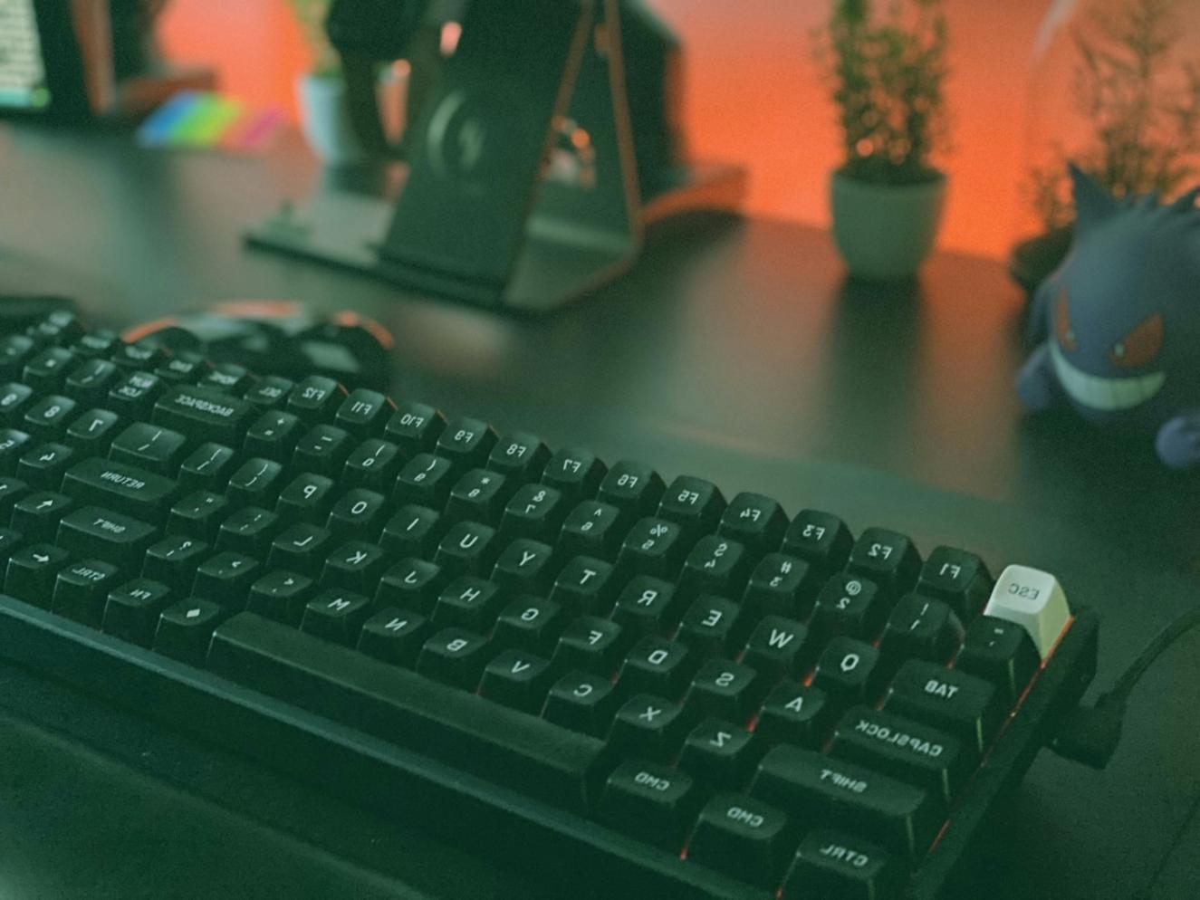 Database security assessment tools